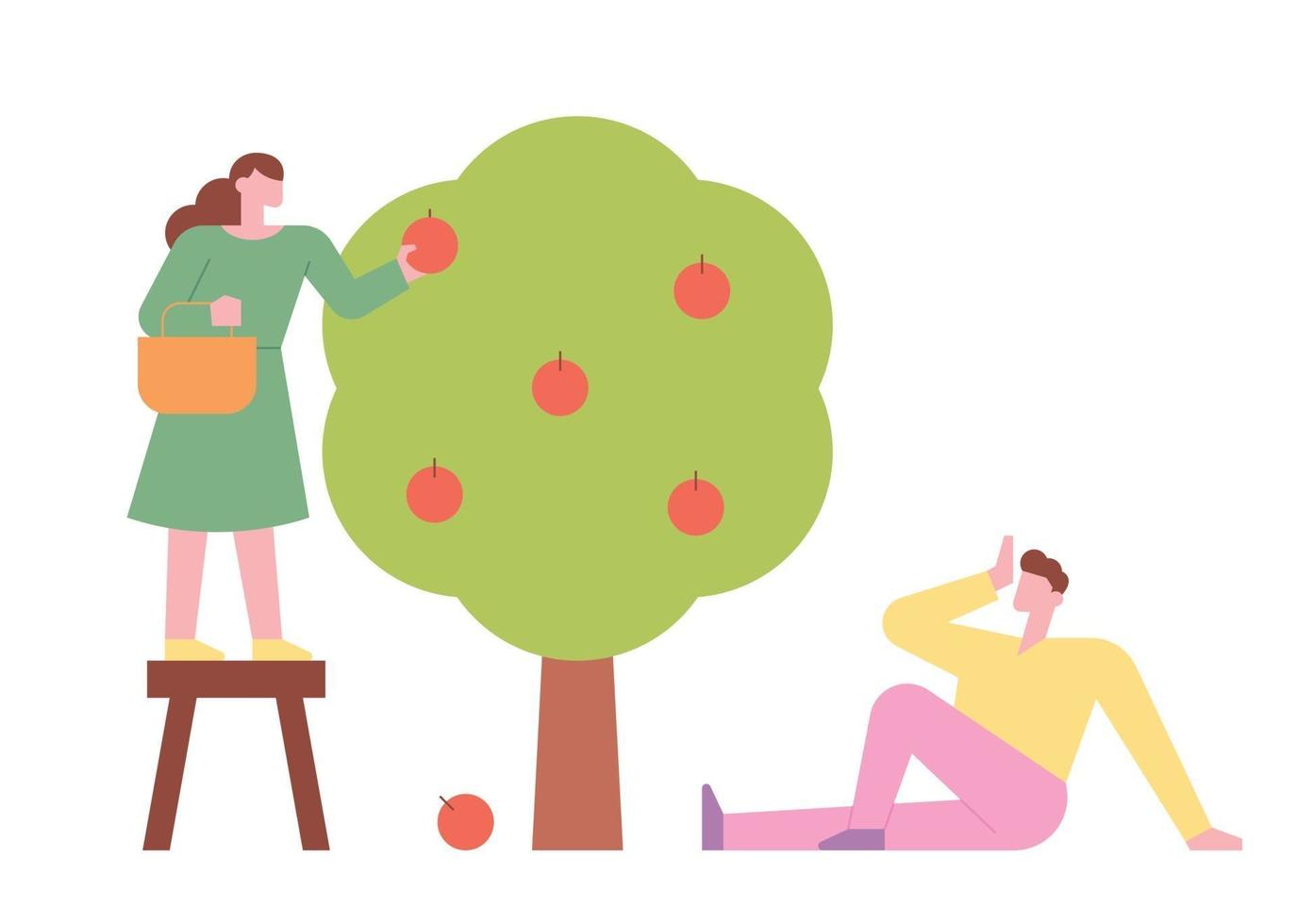 A man and a woman are harvesting the fruit of the tree. vector