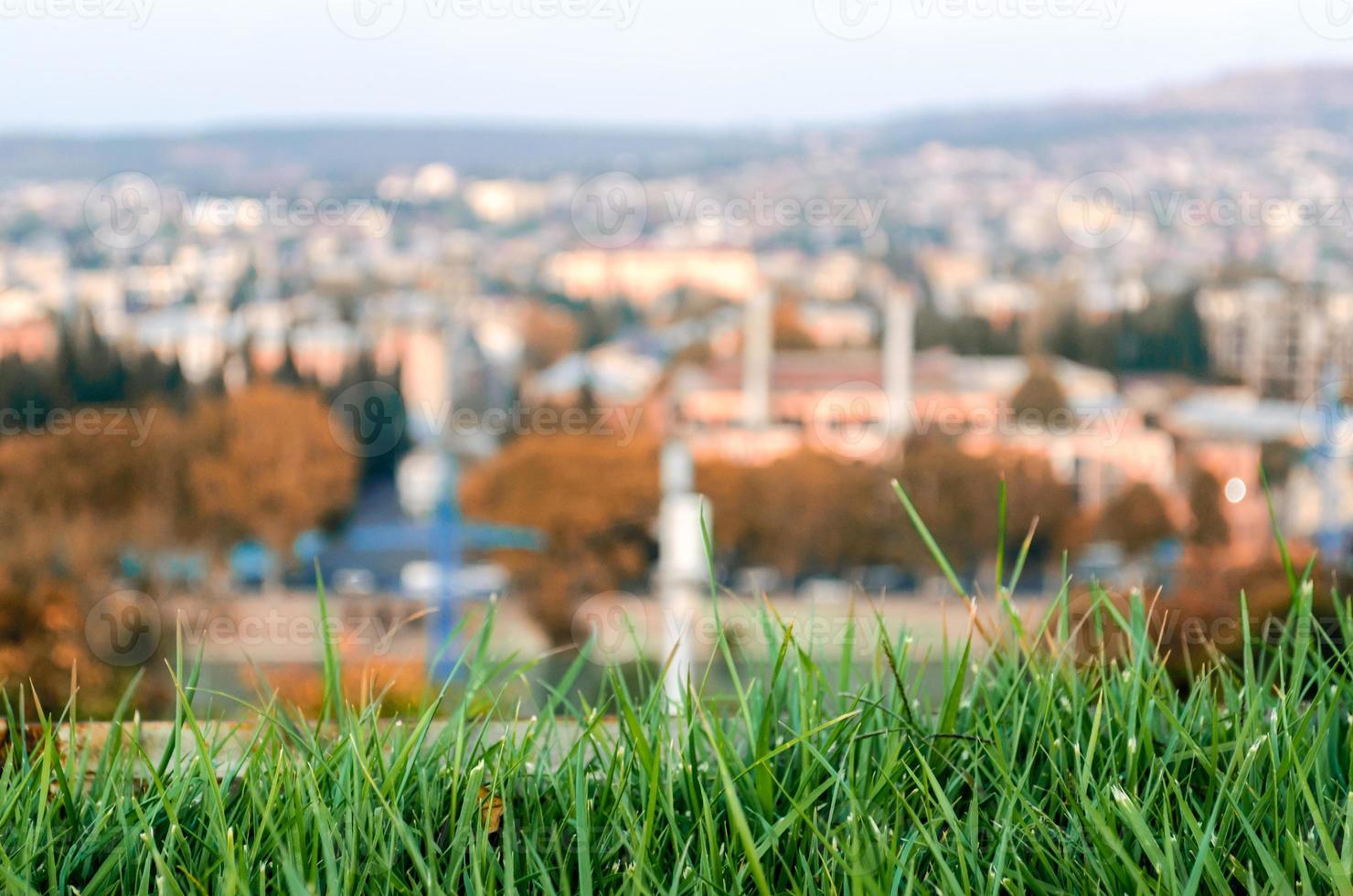 césped con una ciudad al fondo foto