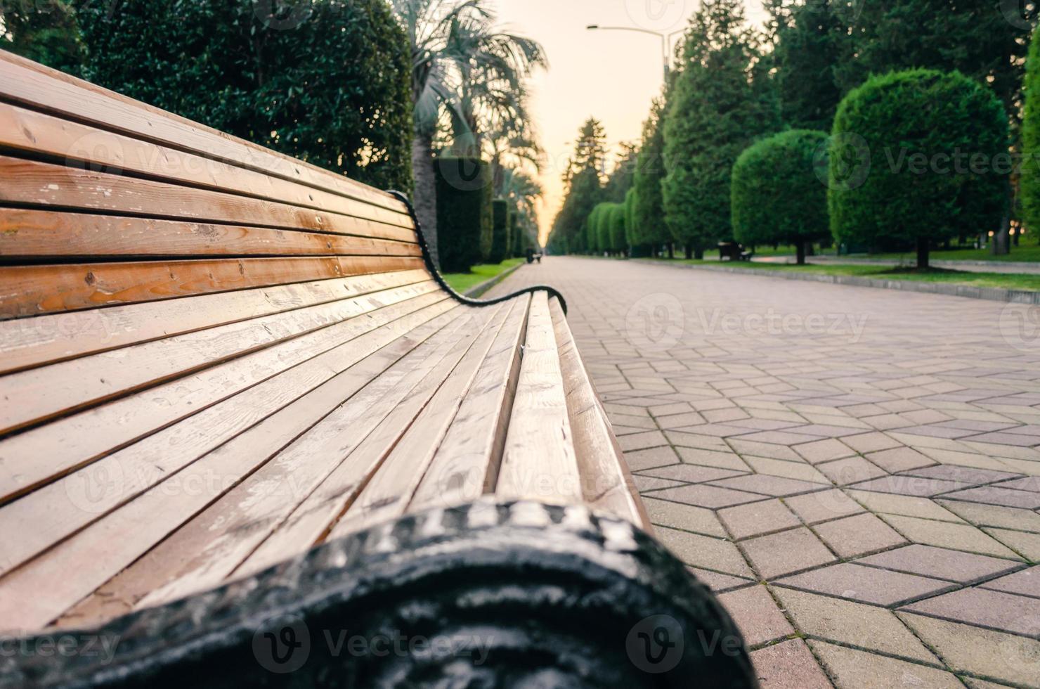 Wooden bench in a park photo
