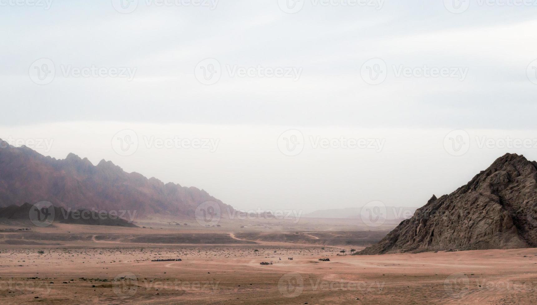 Desert view with mountains photo