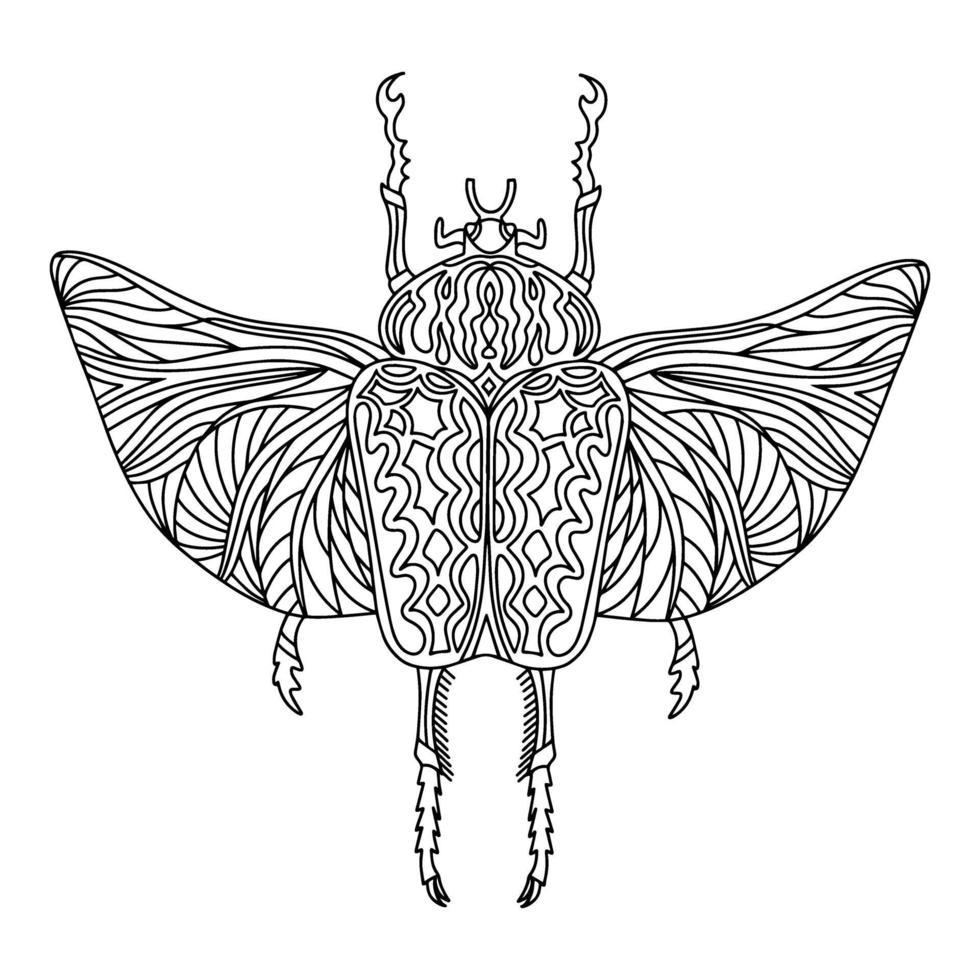 Goliath beetle linear coloring book illustration vector