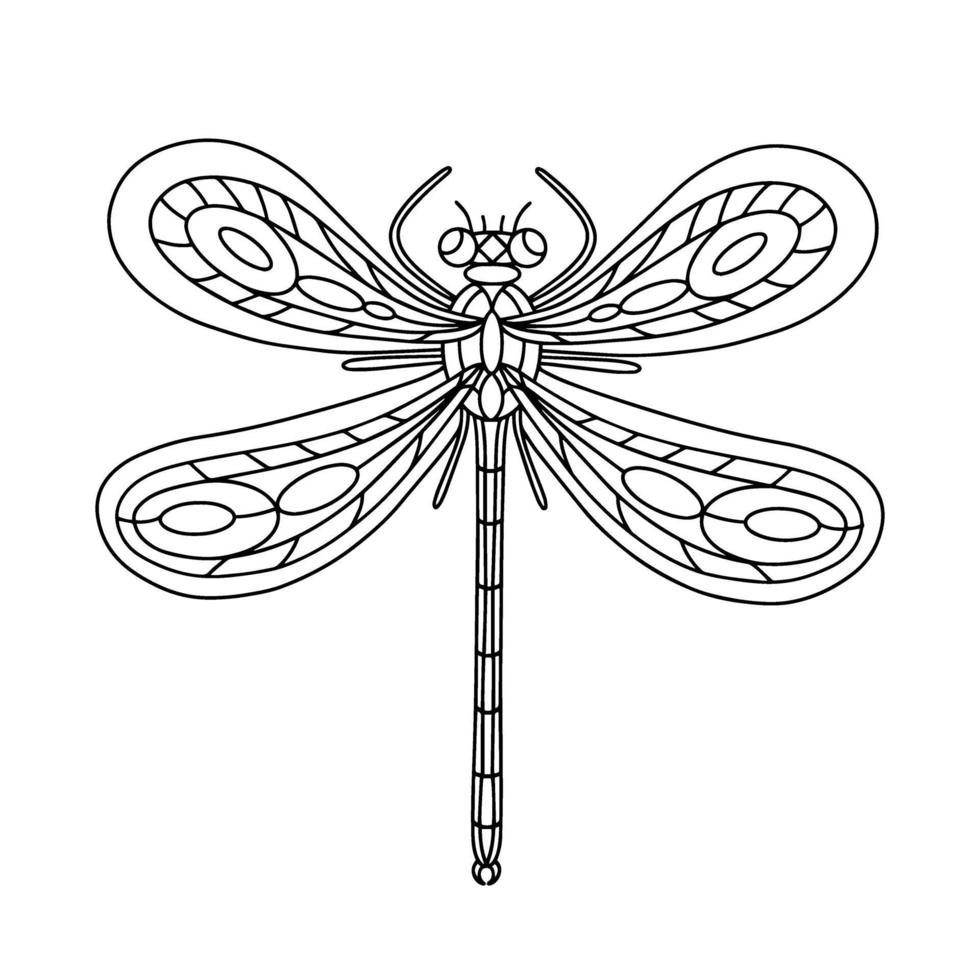 Dragonfly Beetle-Insect coloring book illustration vector