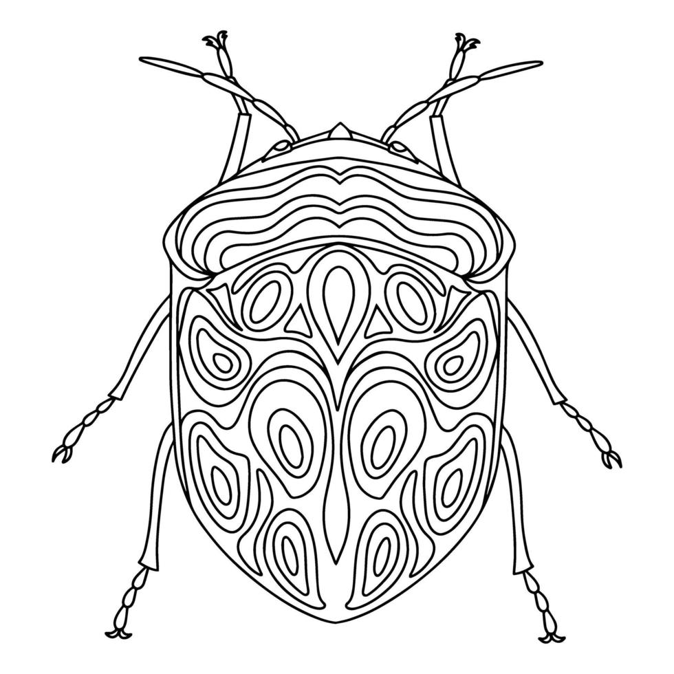 Bedbug linear coloring book illustration vector