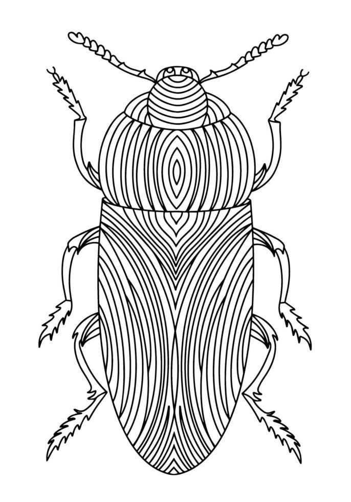 Golden Beetle linear coloring book illustration vector