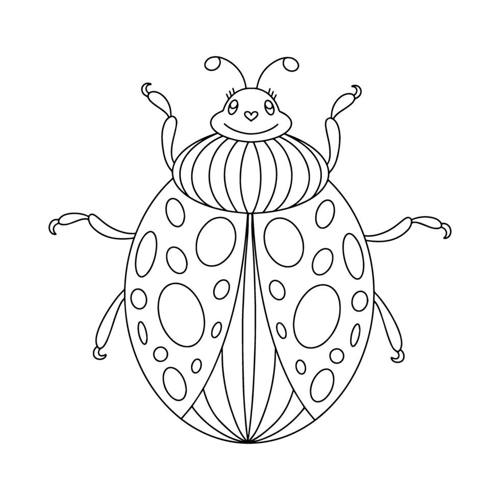 Ladybug linear coloring book illustration vector