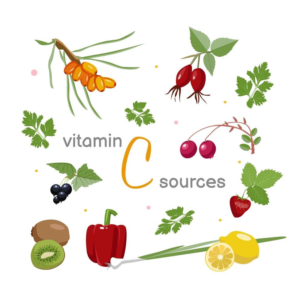 A set of different vegetables, fruits and plants-sources of vitamin C. vector