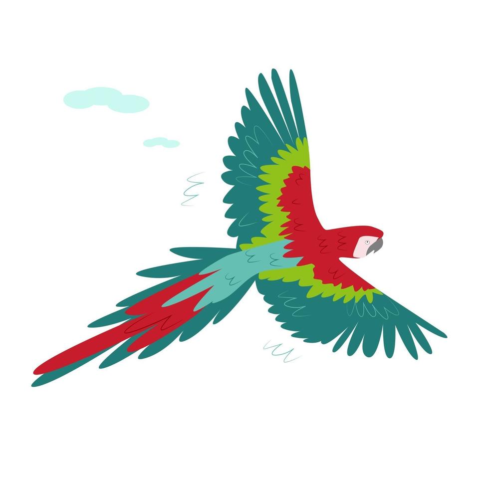 Red tropical parrot flying vector