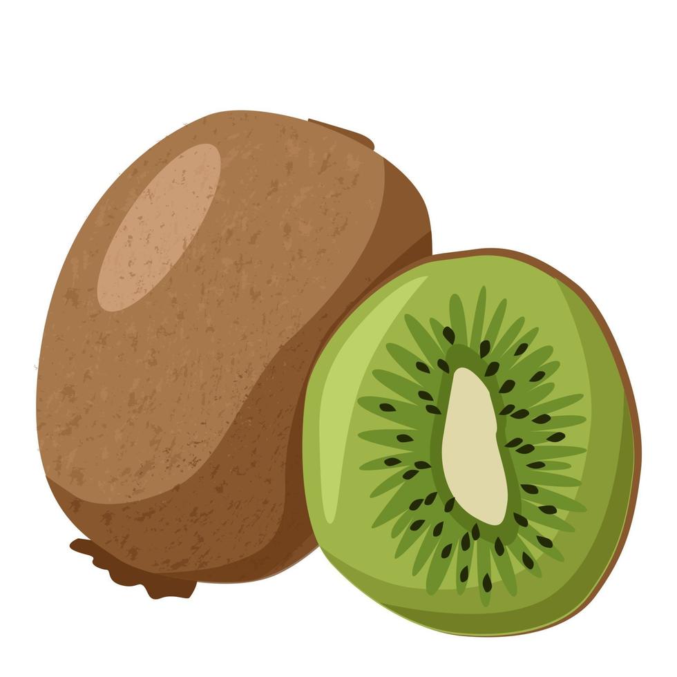 fruta entera de kiwi y rebanada vector