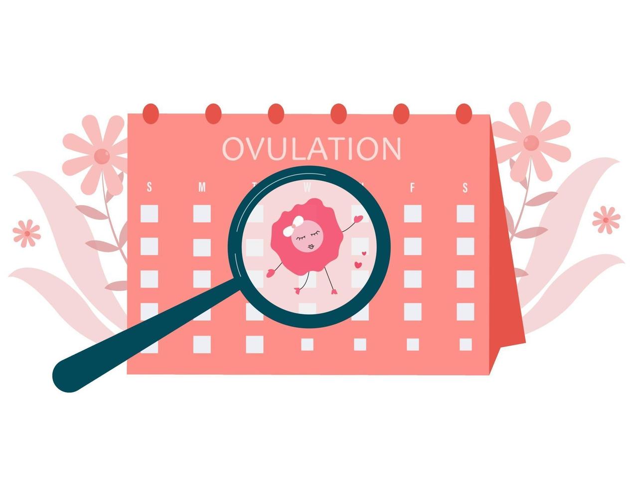 Ilustración del concepto de ovulación. fertilidad femenina. embarazarse. vector