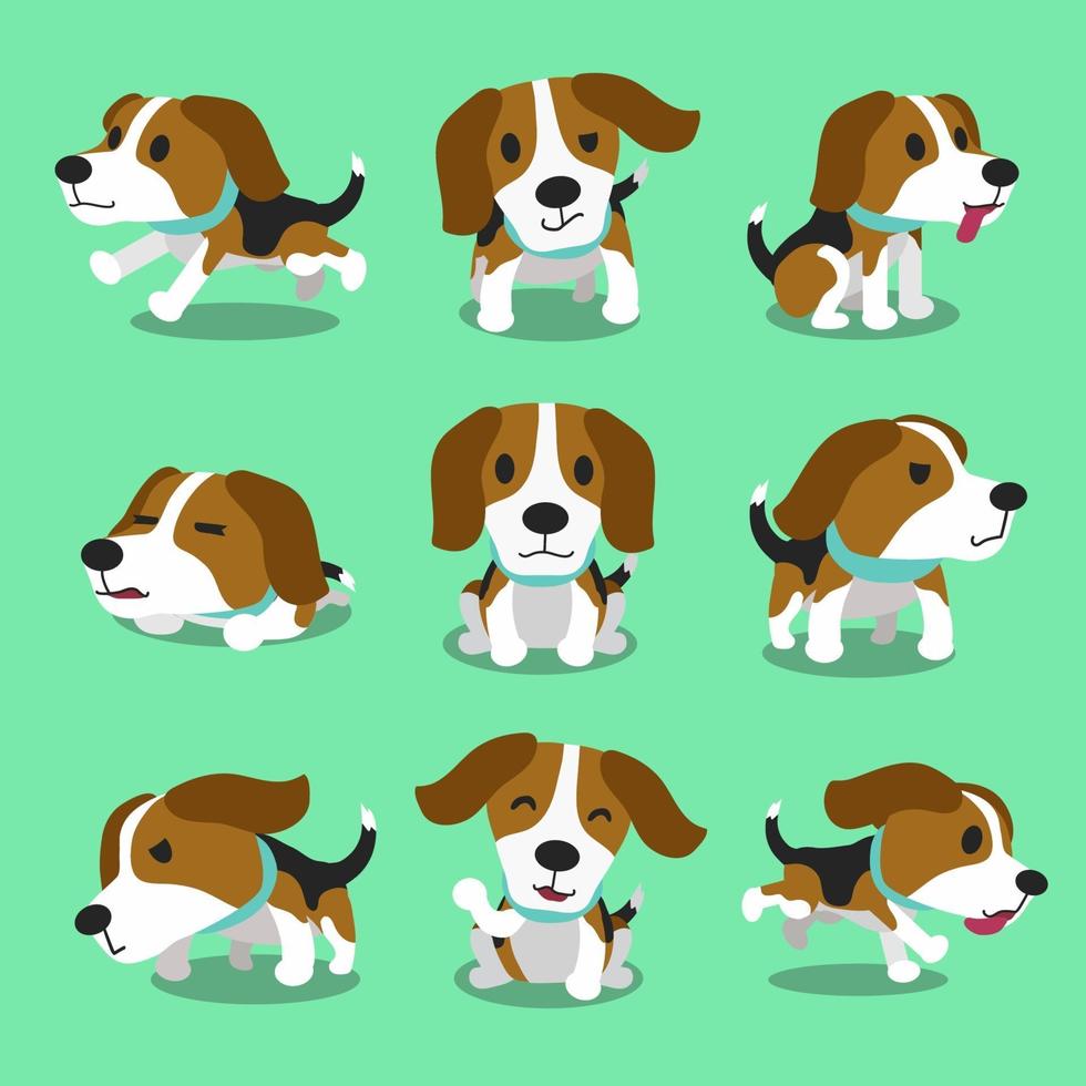 personaje de dibujos animados poses de perro beagle vector