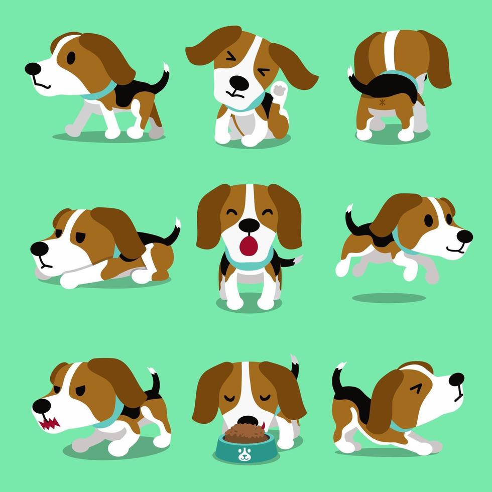 personaje de dibujos animados poses de perro beagle vector