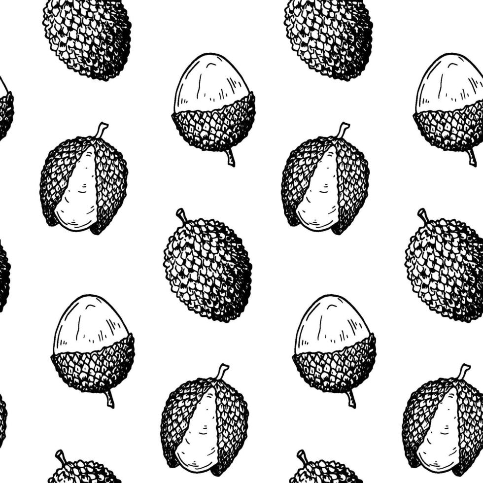 Hand drawn lychee fruit seamless pattern. Vector illustration in botanical sketch style