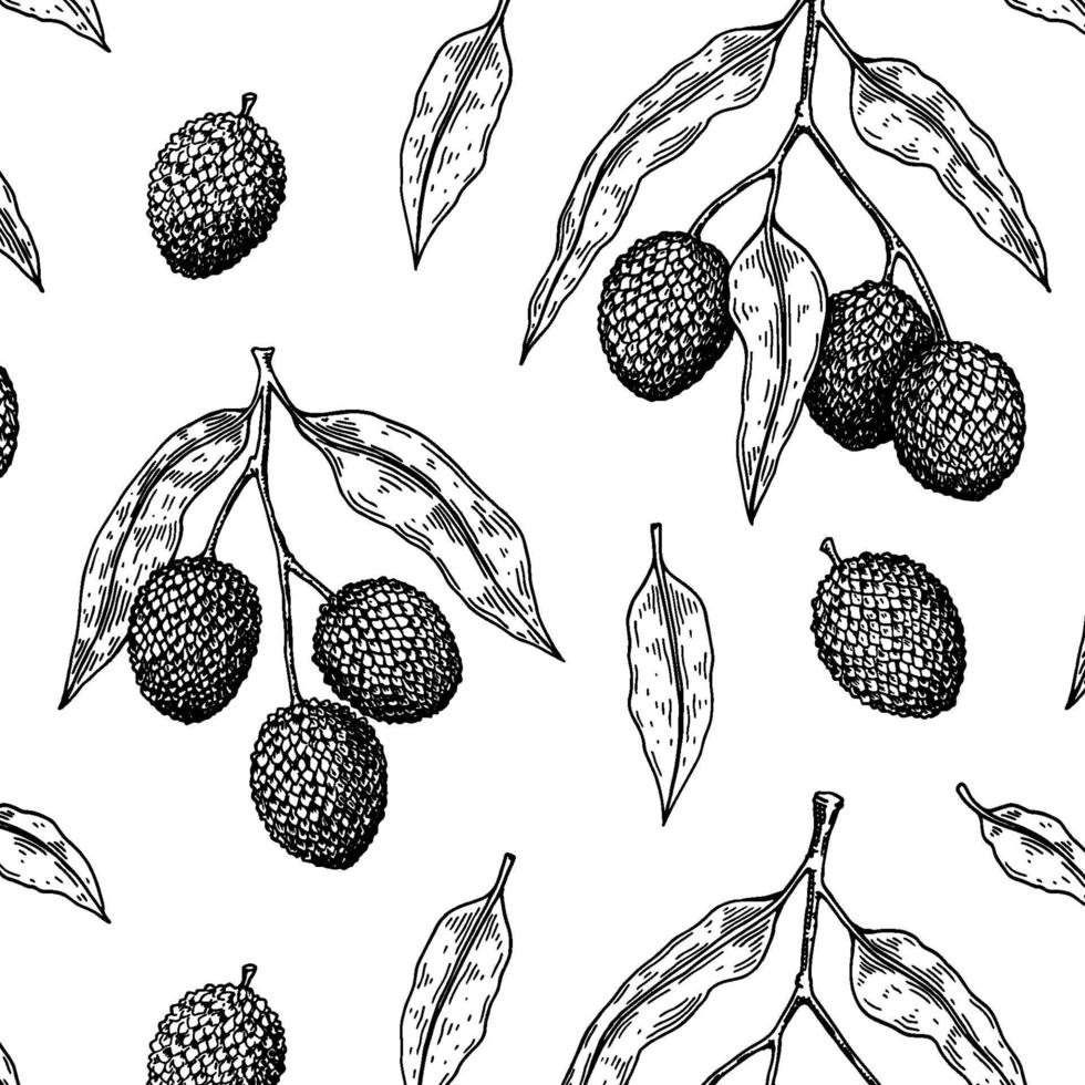 Hand drawn seamless pattern with lychee fruits, branches and leaves. Vector illustration in botanical sketch style