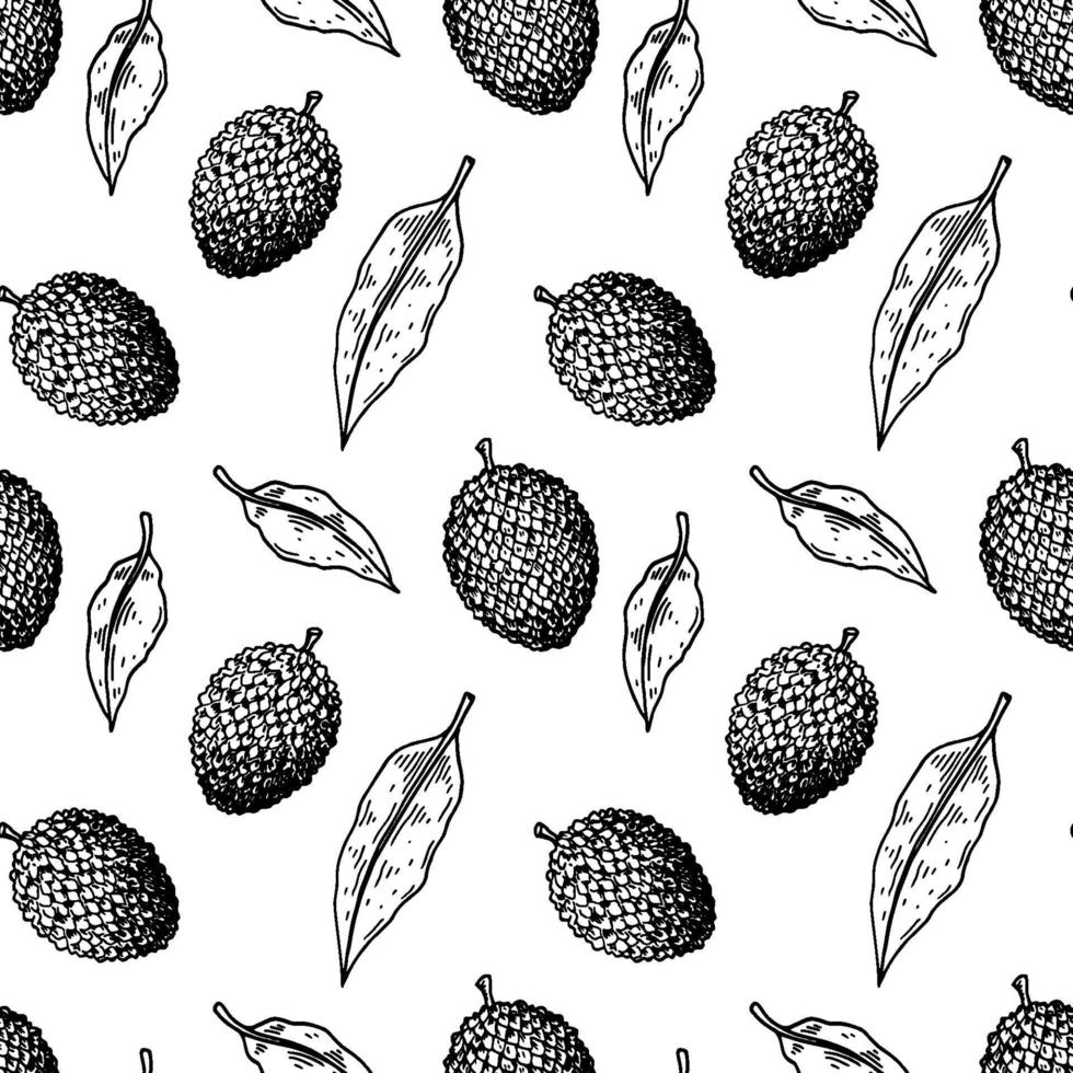 Hand drawn lychee fruit seamless pattern. Vector illustration in botanical sketch style