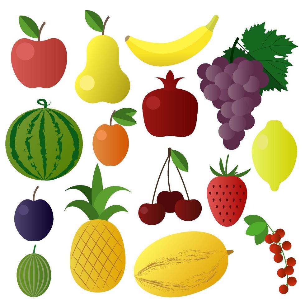 conjunto de coloridas frutas de verano vector