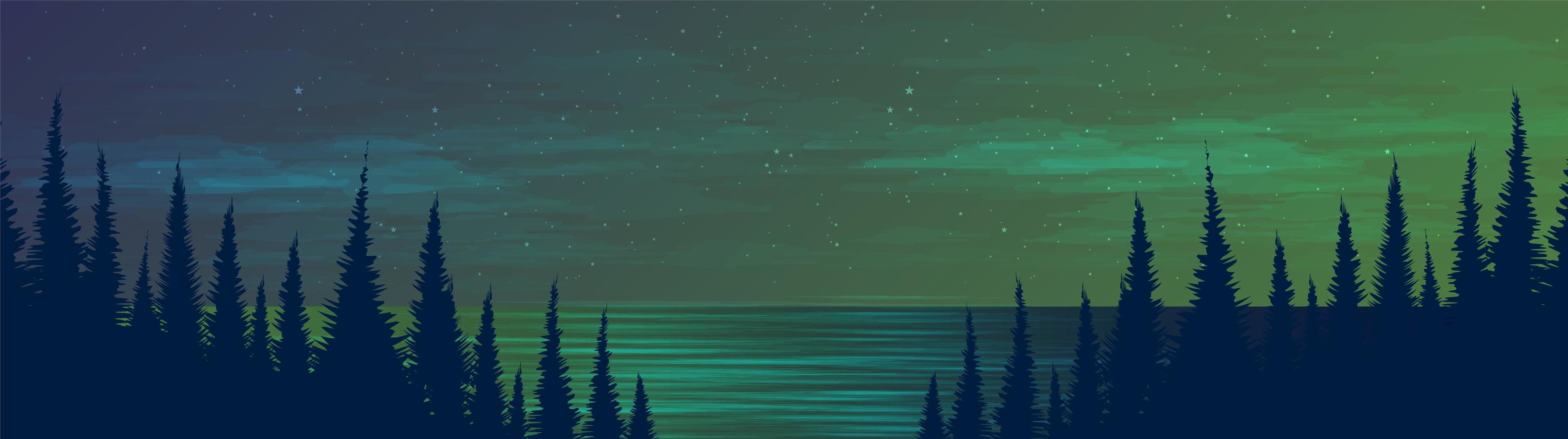 Panorama of river and pine forest at night vector