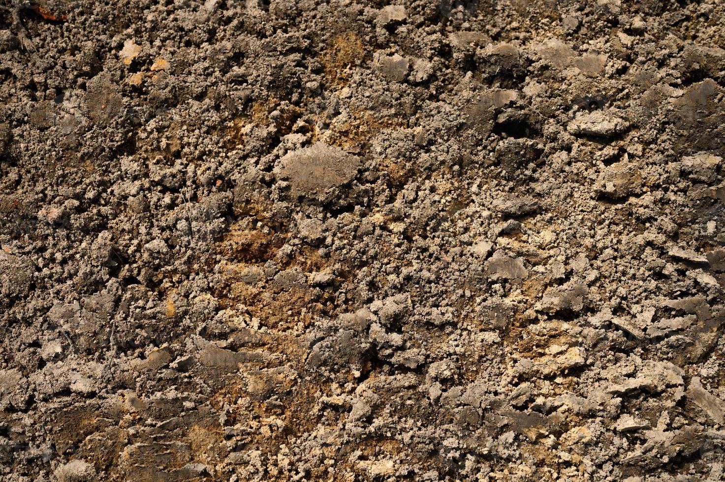 Background texture from the loose surface of the sand and earth soil photo