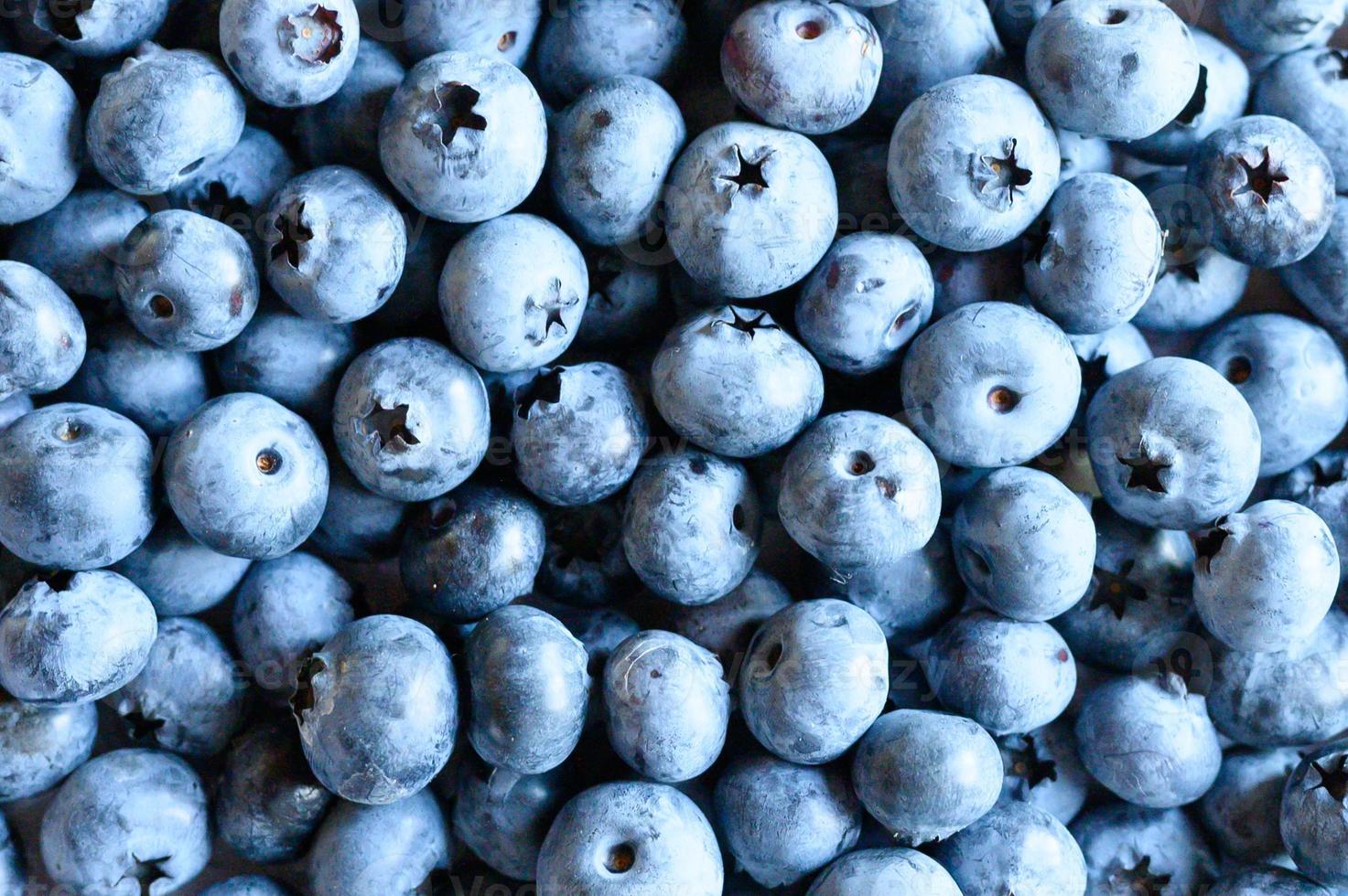 Ripe wild blueberries background photo