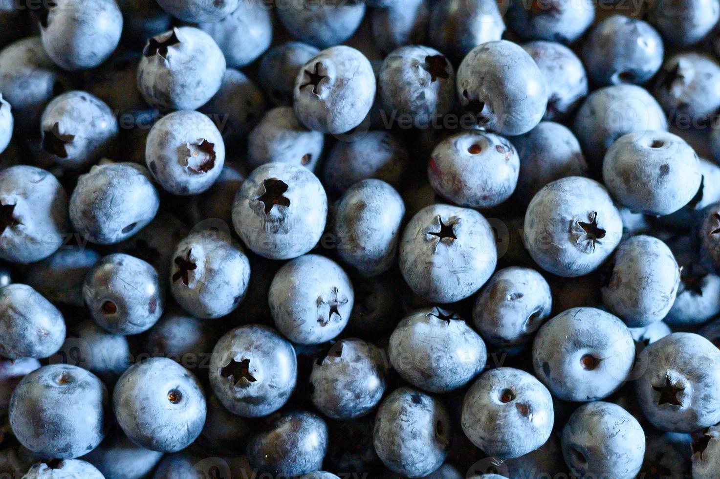 Ripe wild blueberries background photo