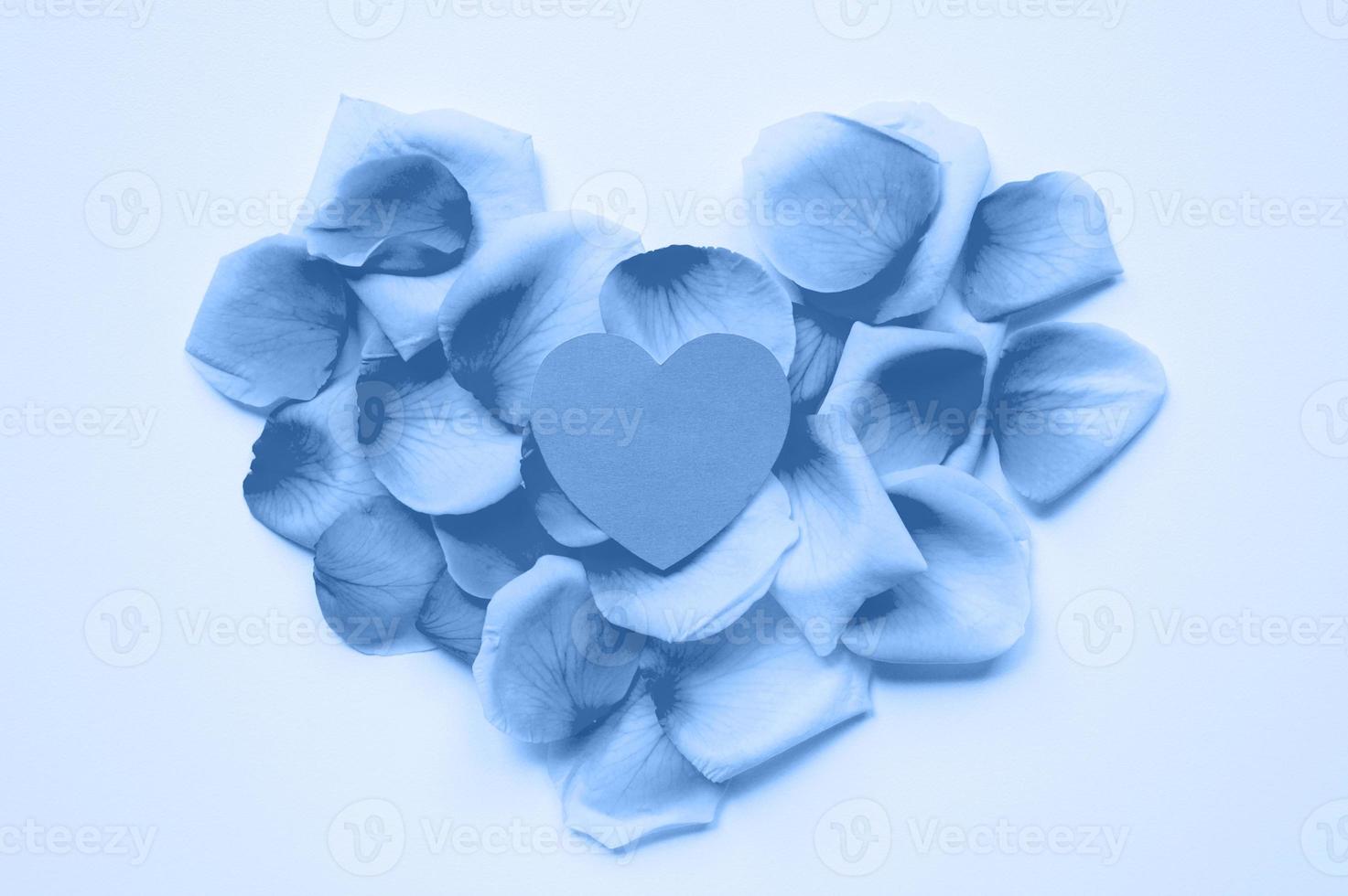 S t. día de San Valentín. el corazón está cortado de papel sobre el fondo de pétalos de rosa. tendencia de color azul clásico teñido año 2020 foto