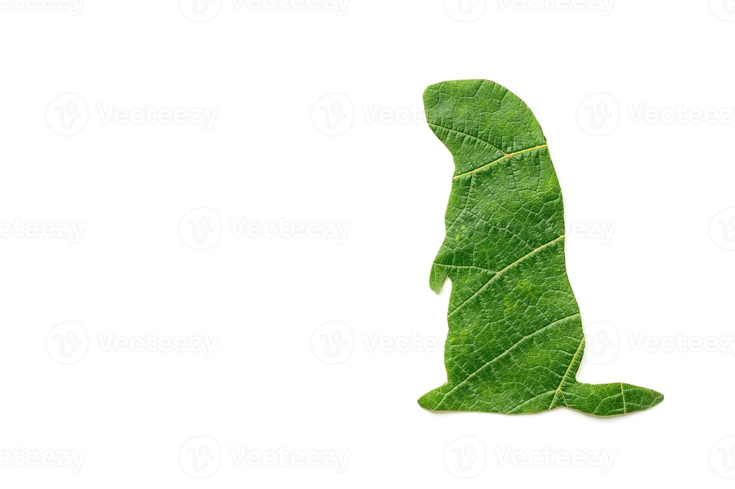 The silhouette of the animal is cut from green foliage on a white background photo