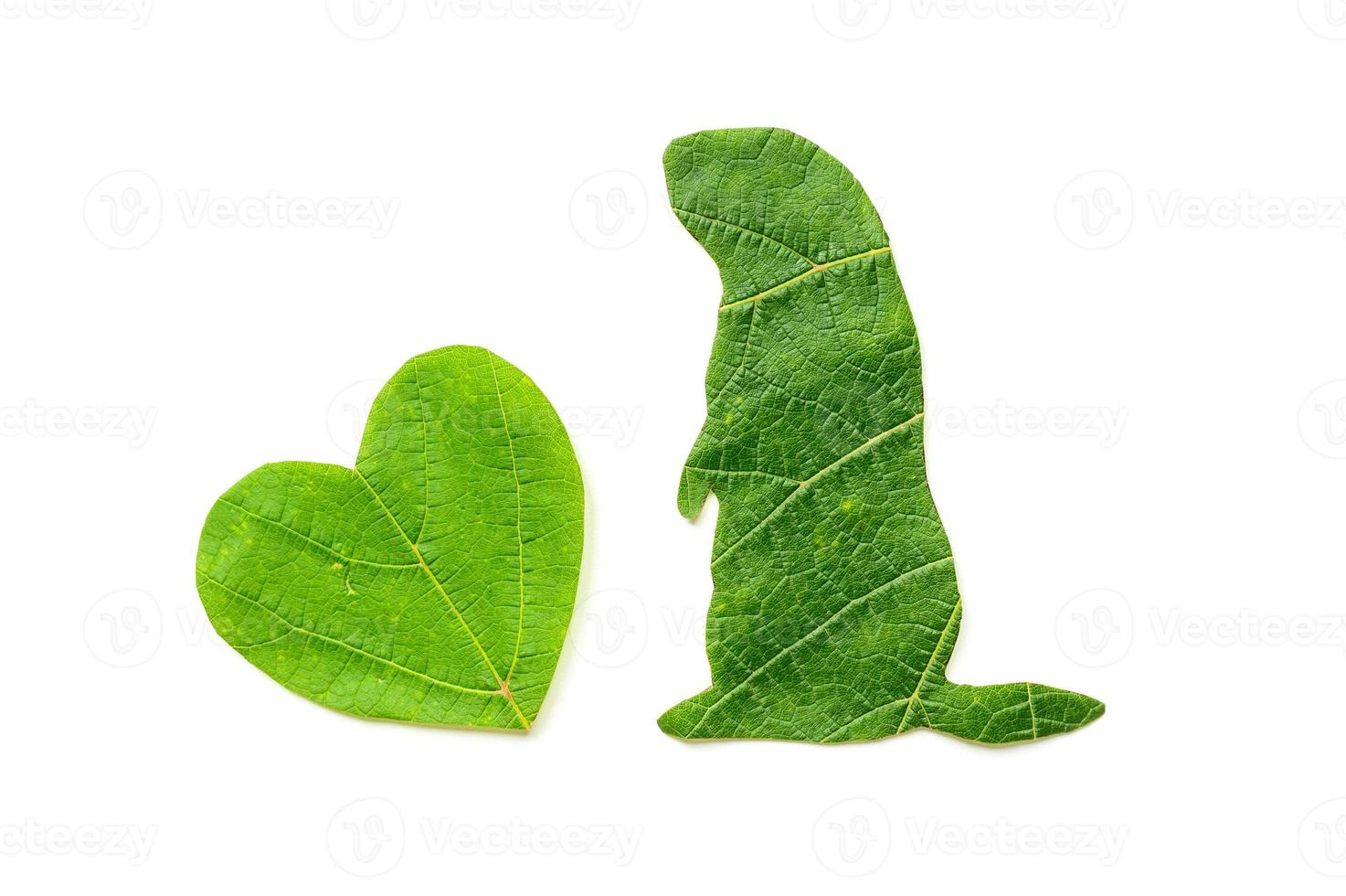 The silhouette of the animal is cut from green foliage on a white background photo