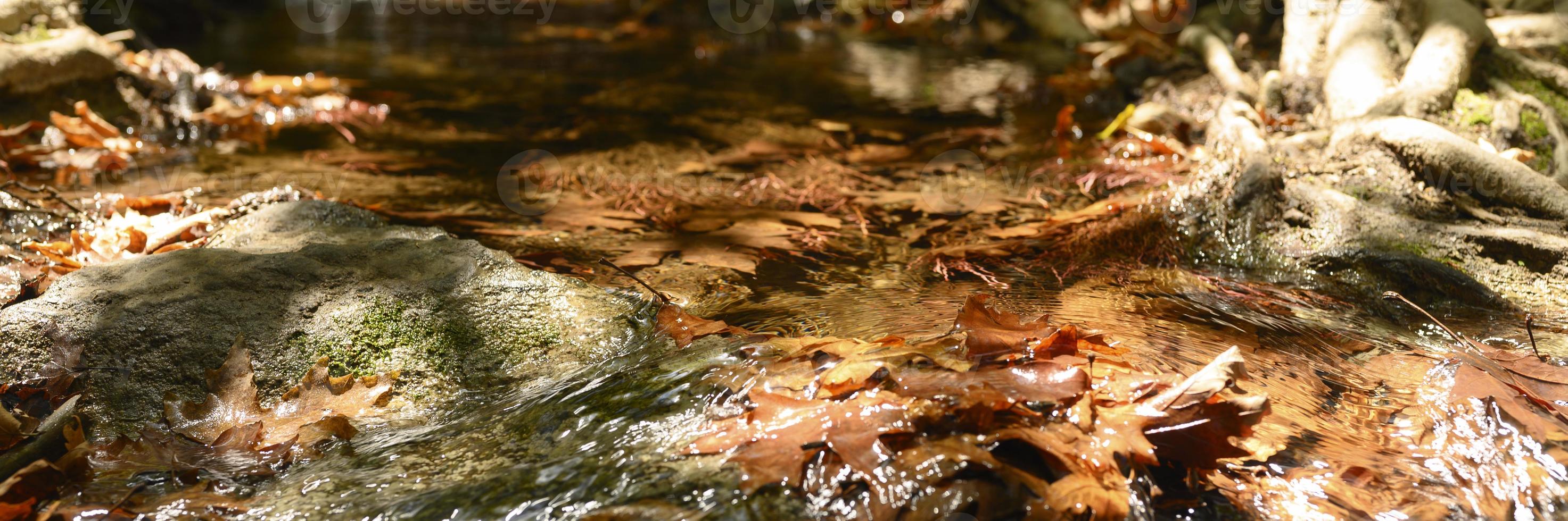 A stream running through the bare roots of trees in a rocky cliff and fallen autumn leaves photo