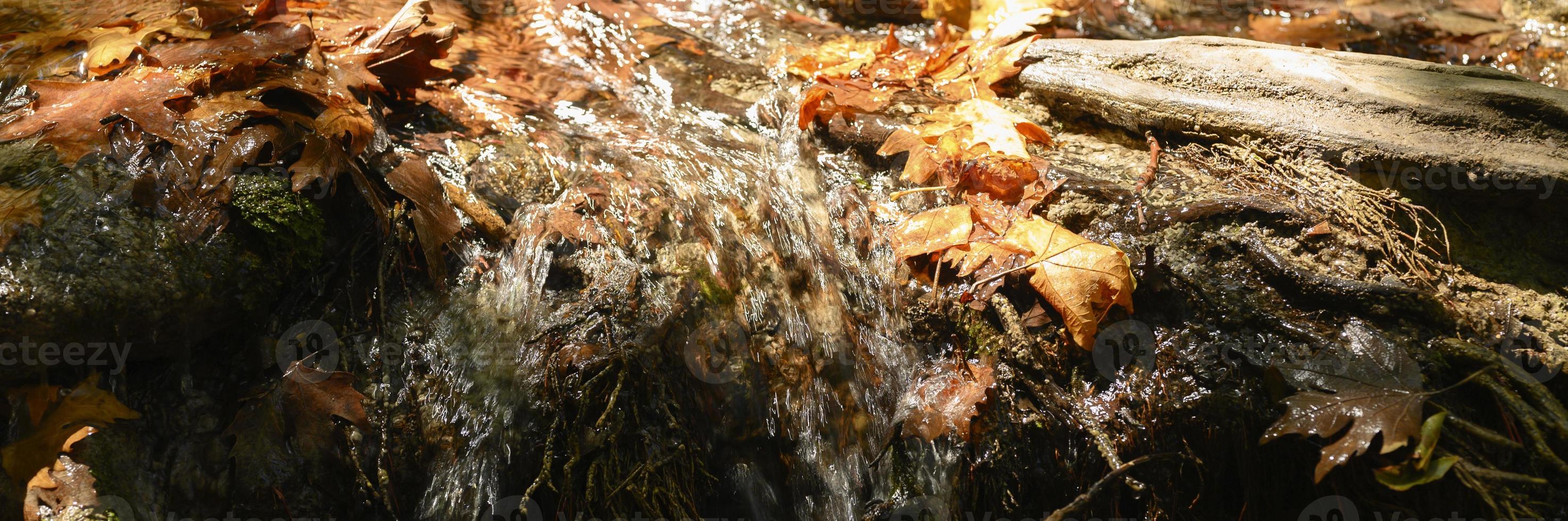 A stream running through the bare roots of trees in a rocky cliff and fallen autumn leaves photo