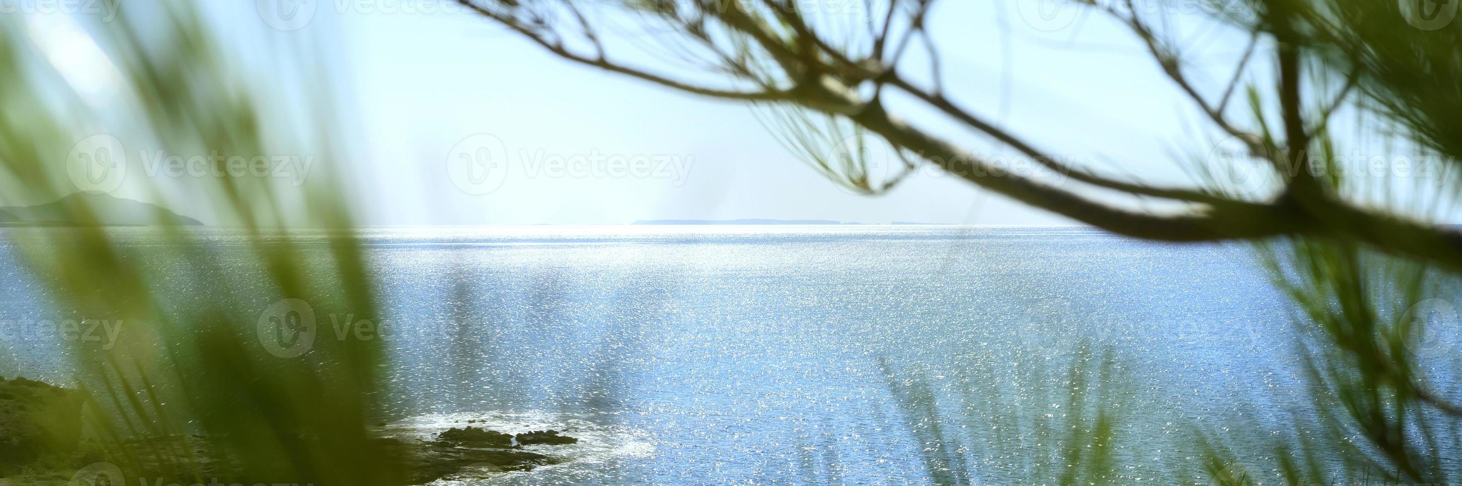 Seascape view through the pines branch and green bushes photo