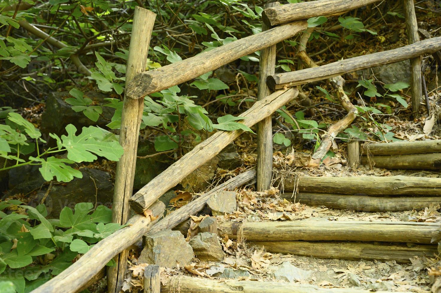 Antigua escalera de madera casera que atraviesa rocas en un desfiladero de montaña foto