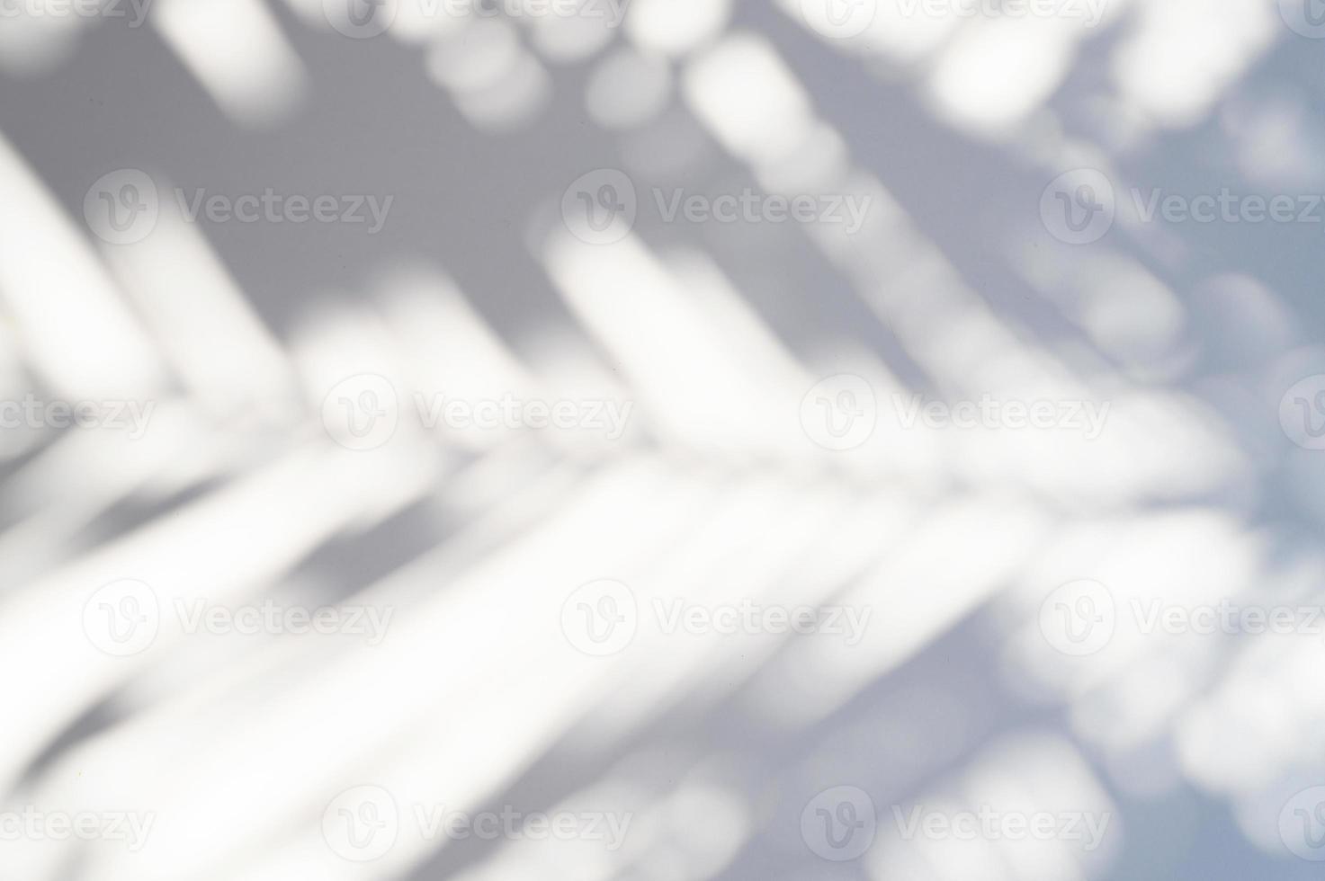 Blurred shadow of a palm leaf on a white background photo