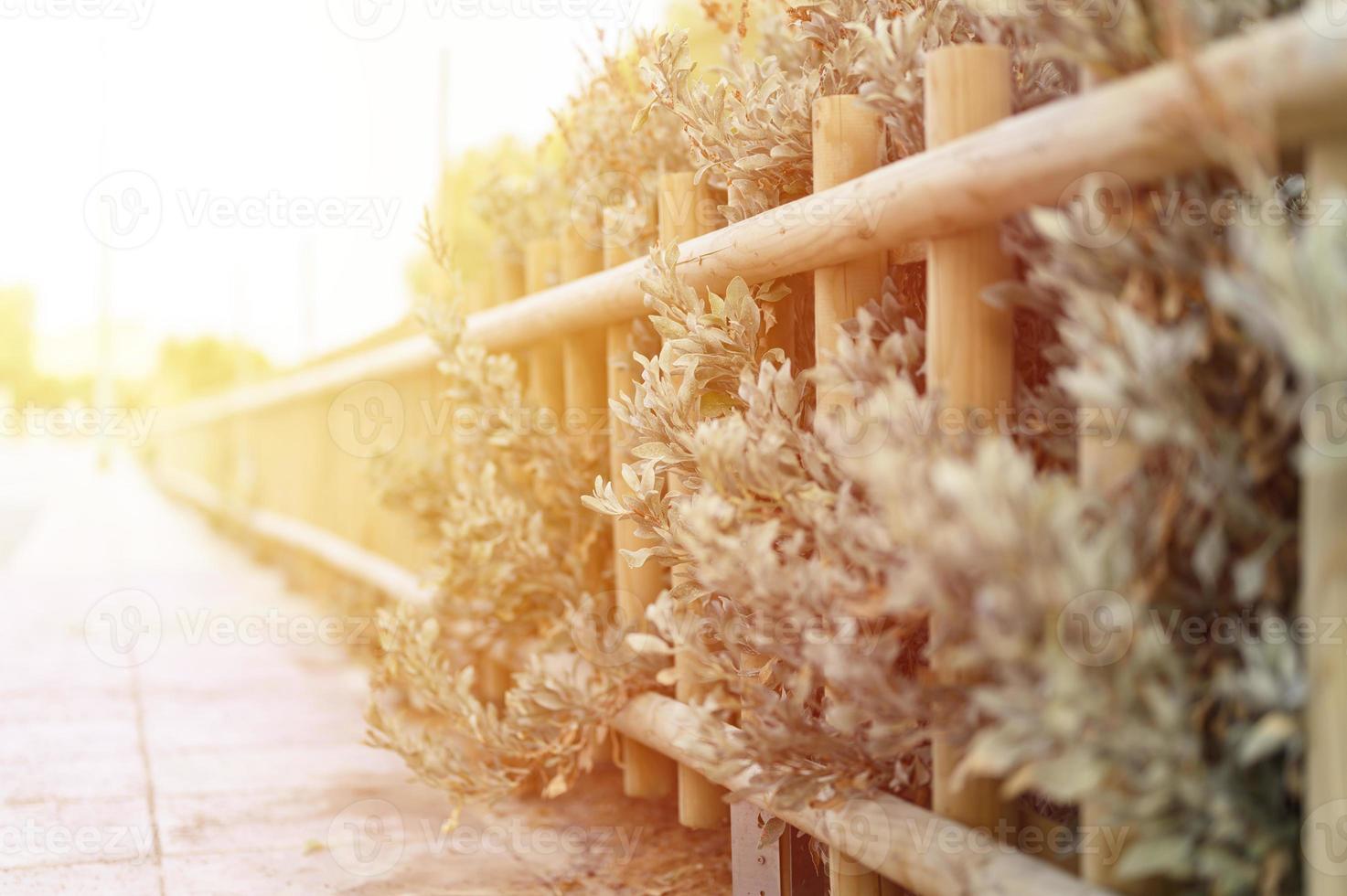 Decorative wooden fence and white green bushes photo