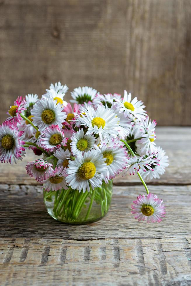 Bouquet of common daisies in a glass jar on a wooden table photo