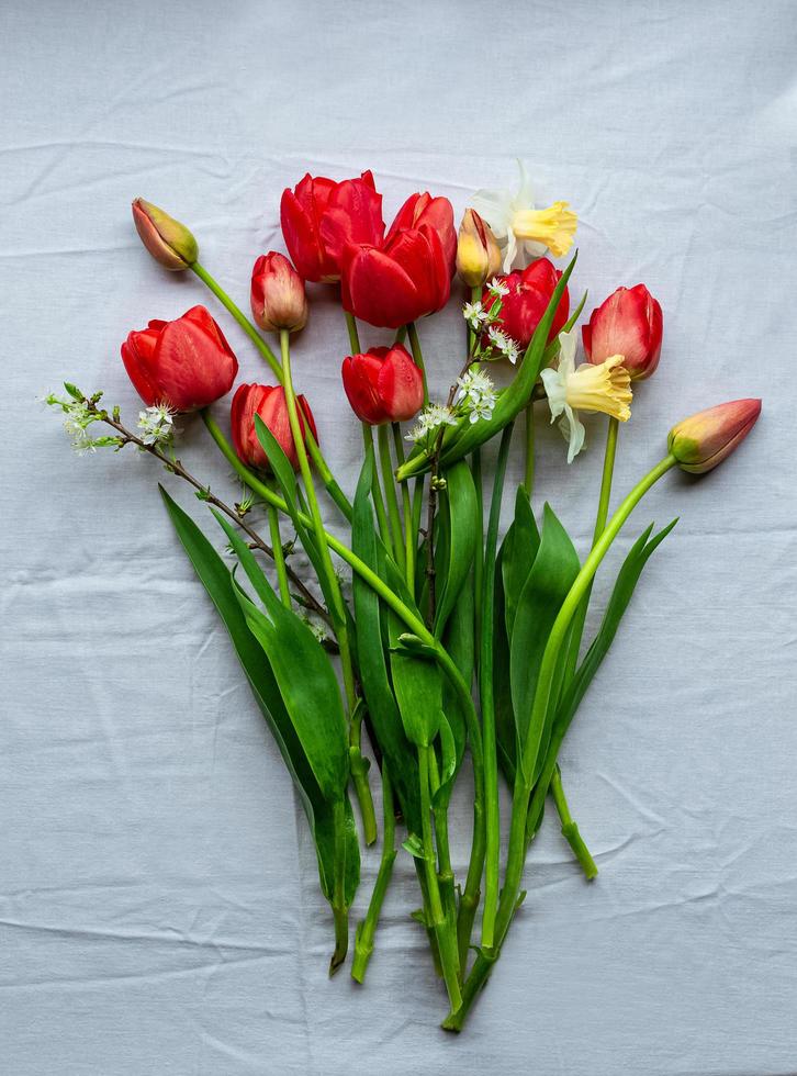 Flat lay with freshly cut garden tulips and daffodils on white tablecloth photo