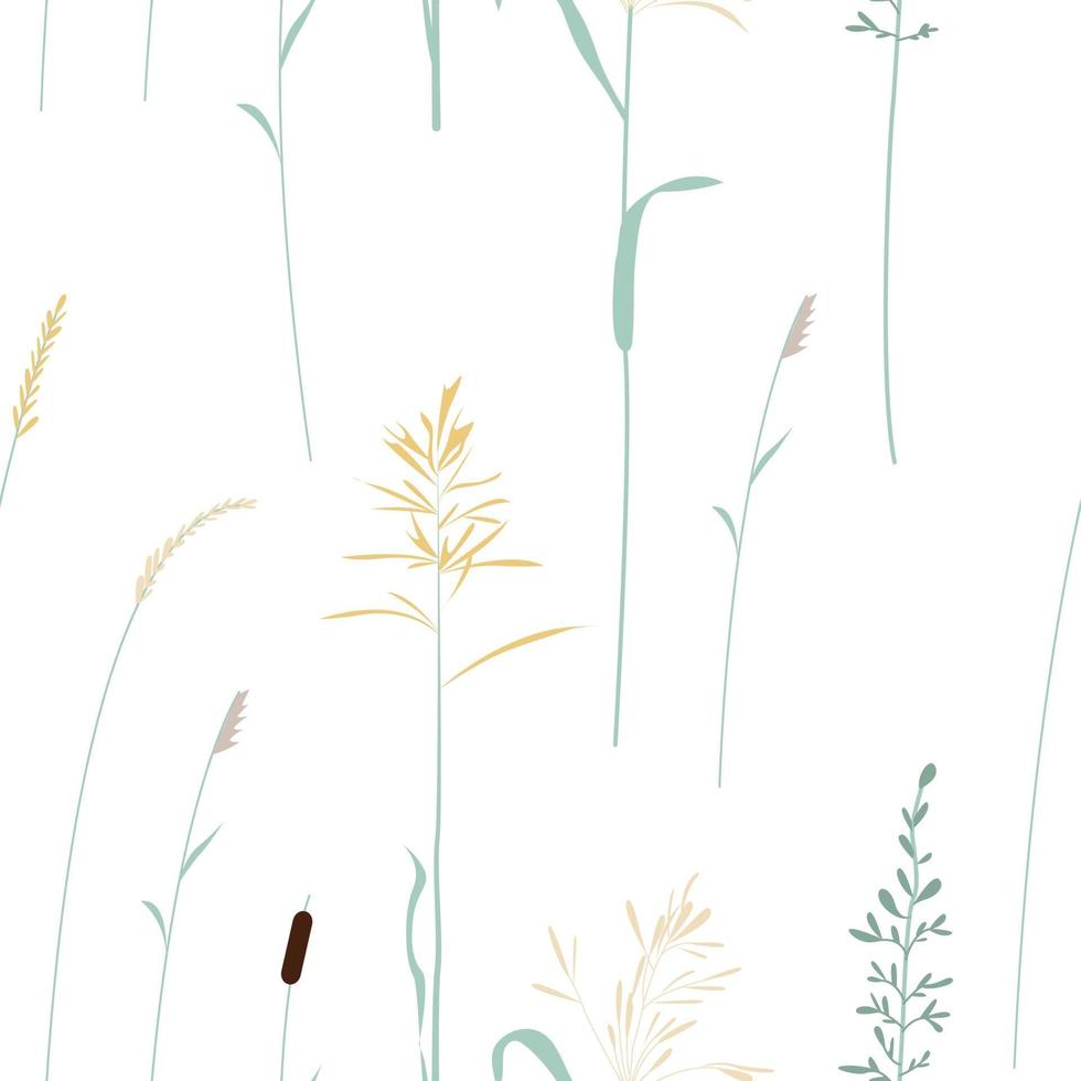 Seamless pattern with wild grasses field vector