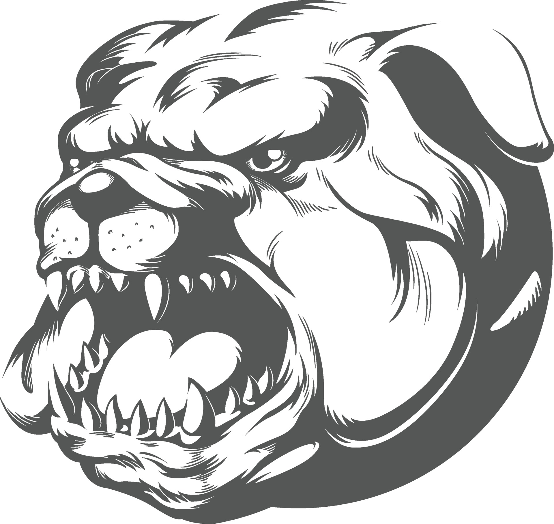  Angry Bulldog Tattoo of all time Check it out now 