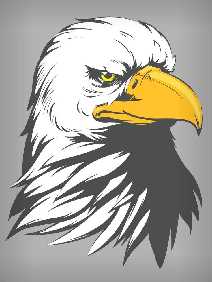 Bald Eagle Falcon Hawk Head, Cartoon Vector Illustration Drawing