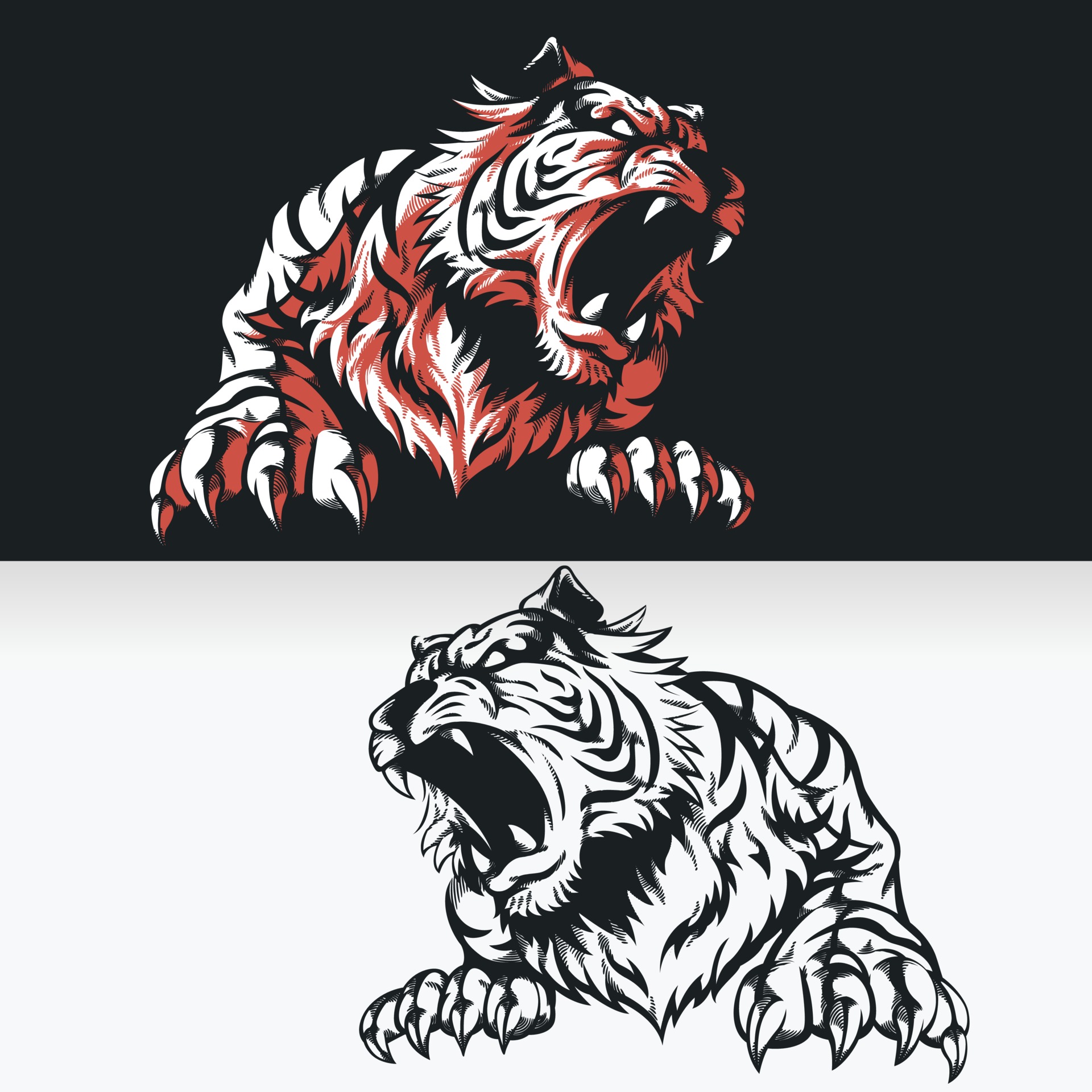 how to draw a tiger roaring