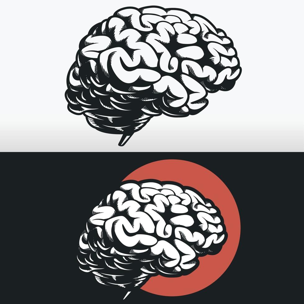 silueta del perfil lateral del cerebro, dibujo vectorial de la plantilla de contorno negro vector