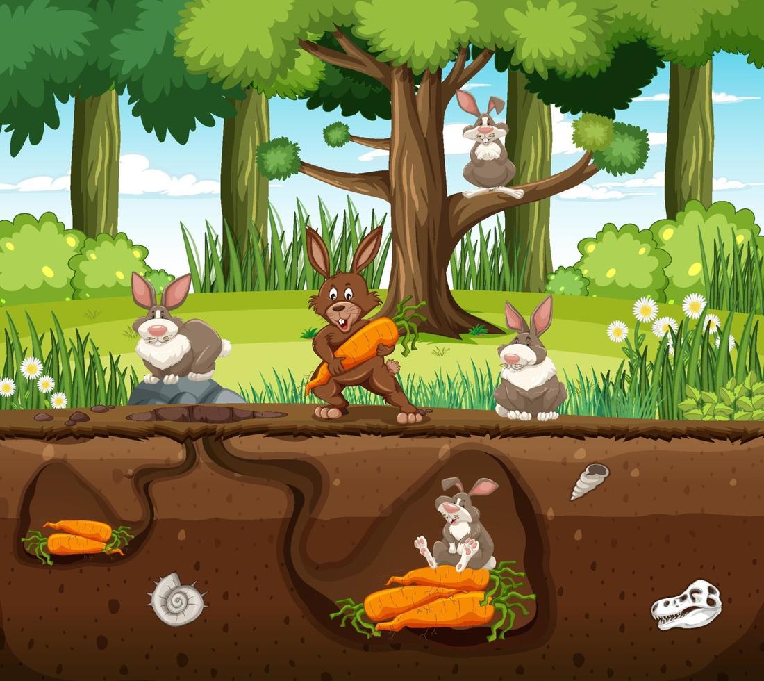 Underground animal burrow with rabbit family vector