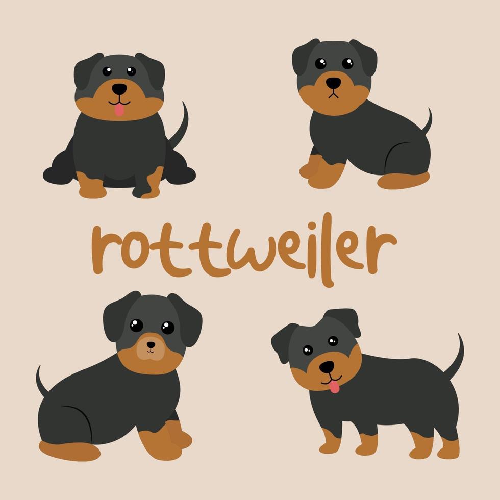 lindo conjunto de perro rottweiler vector