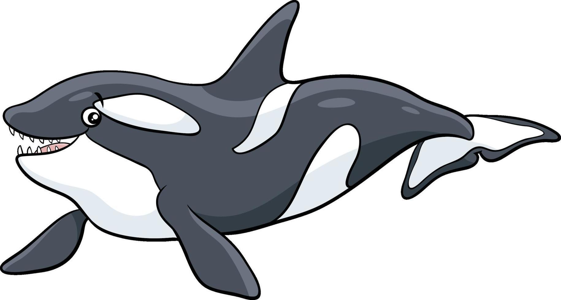 dibujos animados de orca o ballena asesina personaje de animal marino vector