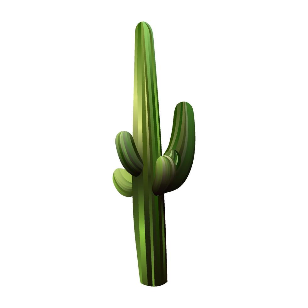 Large green cactus vector illustration. A plant of the American deserts.