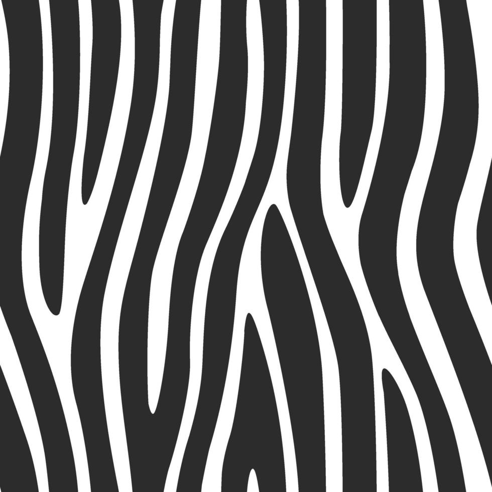 Seamless Pattern Zebra Lines Print Background Texture Vector Drawing