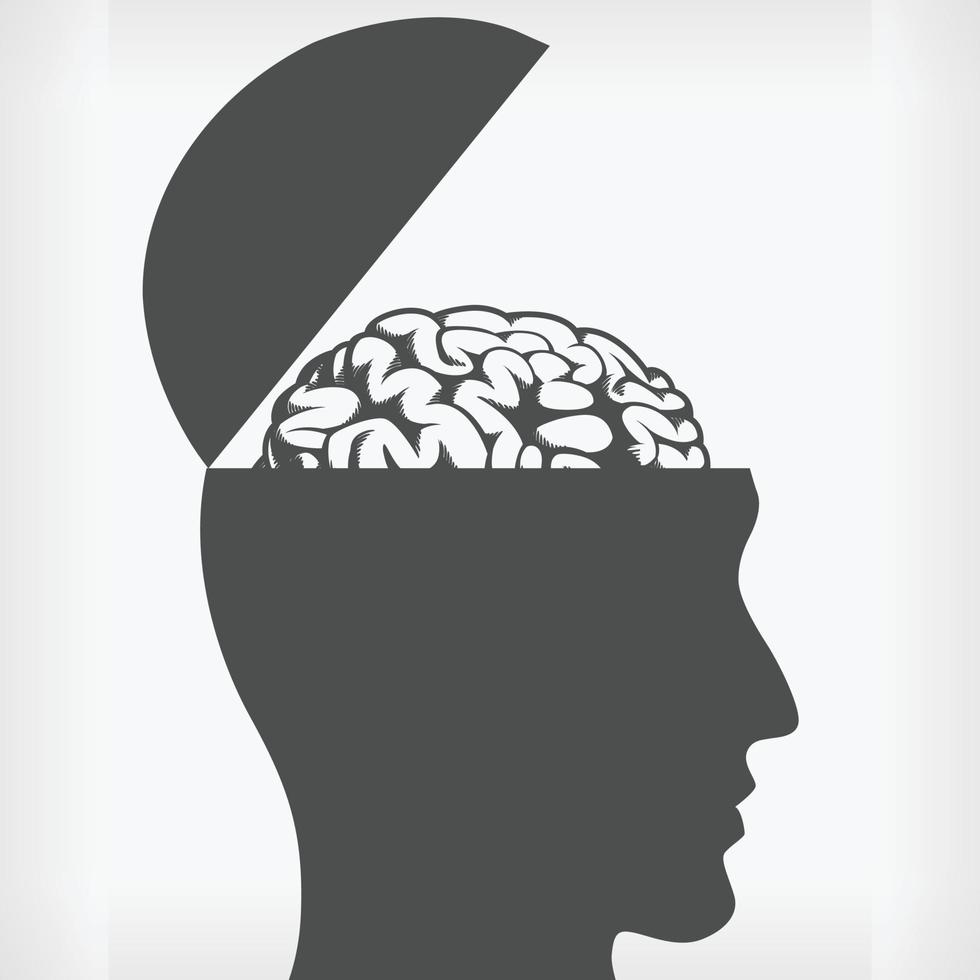 silueta del cerebro en el interior, dibujo de la plantilla de dibujo de cabeza abierta dibujo vectorial vector
