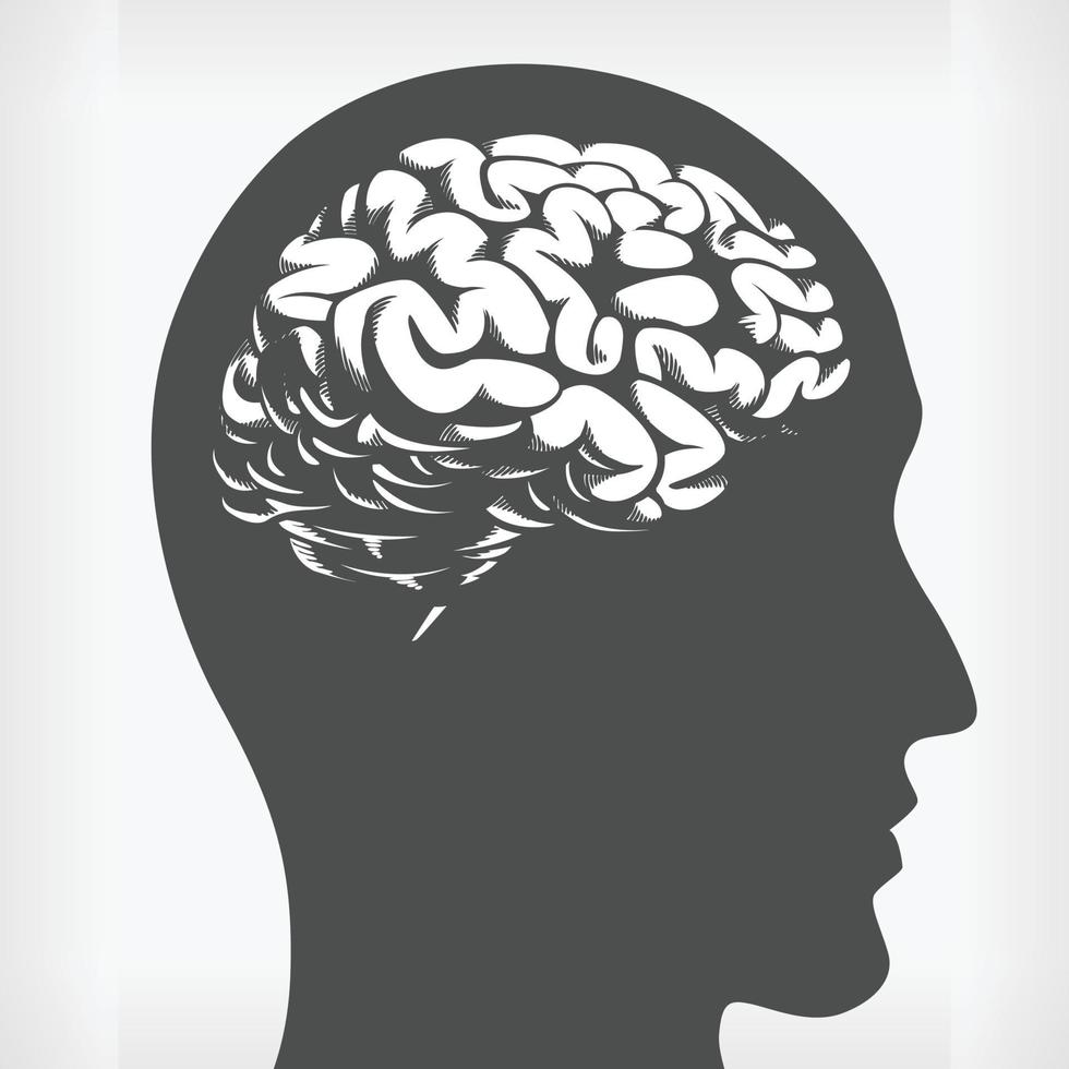 Silhouette of Brain Inside Human Head, Side Profile Stencil Vector Drawing
