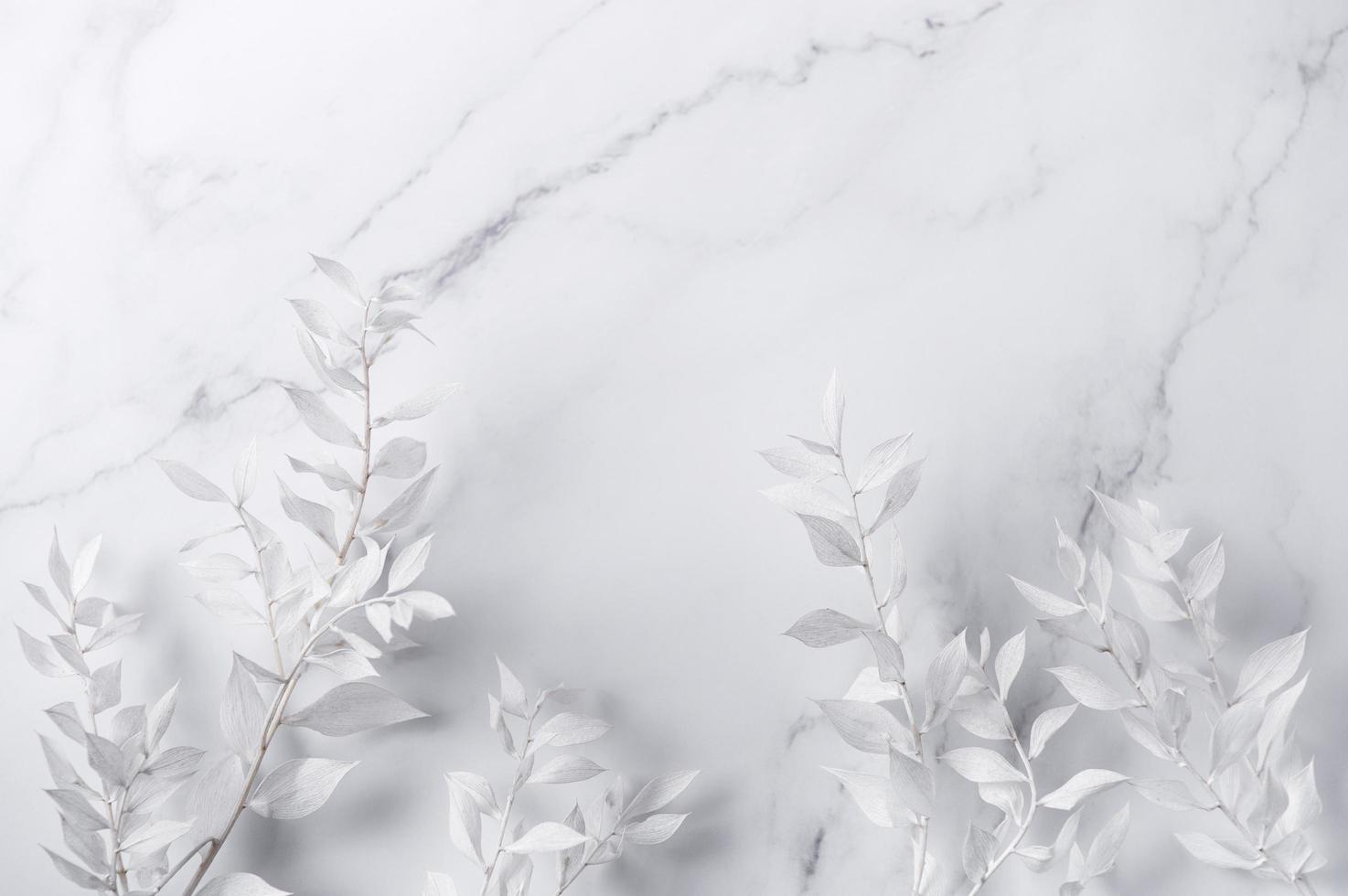Marco de ramas blancas sobre un fondo de mármol foto