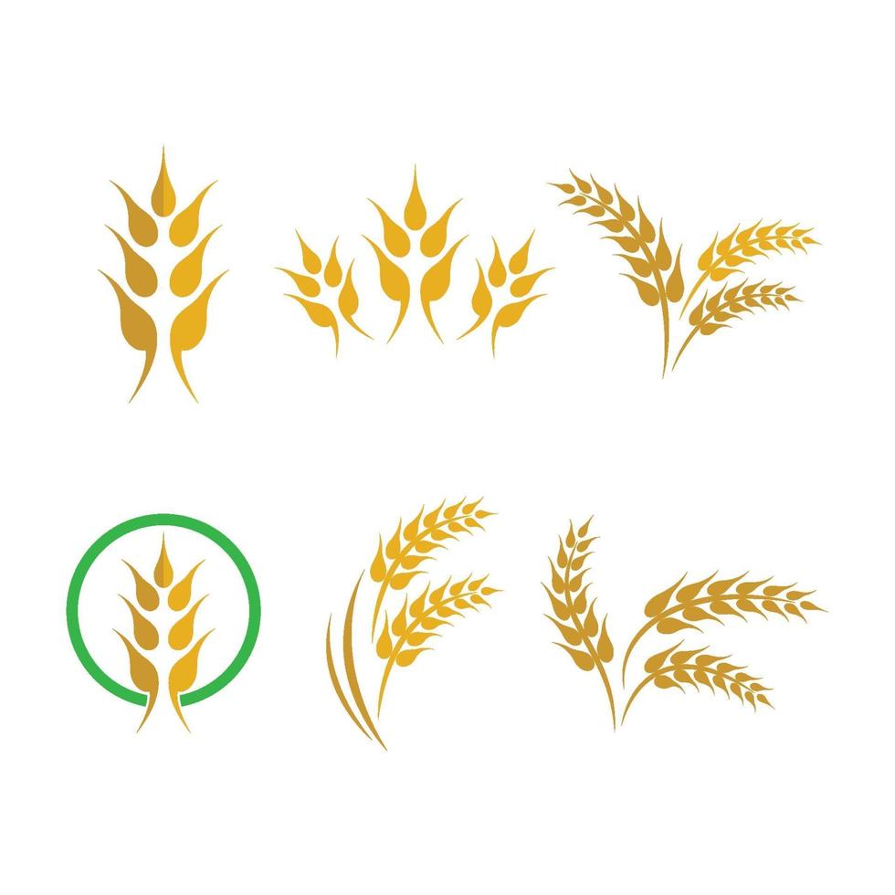 Wheat logo images vector