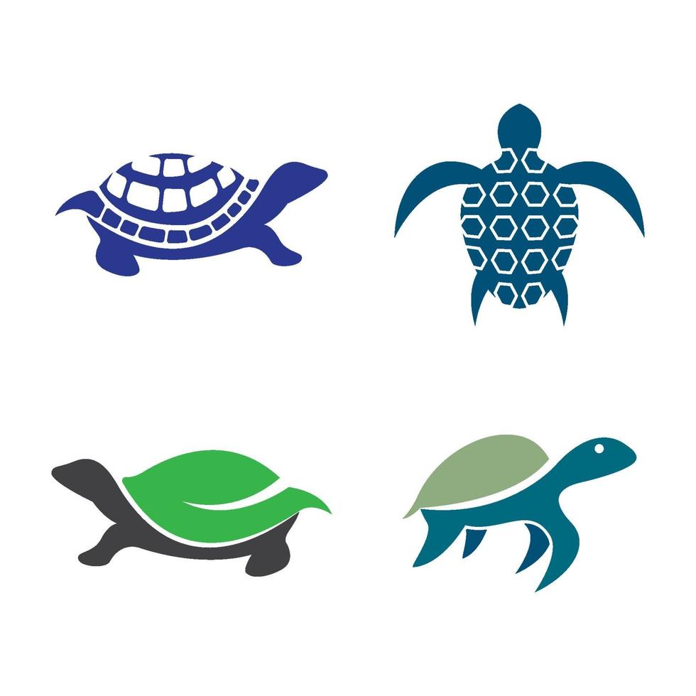 Ilustración de imágenes de logo de tortuga vector