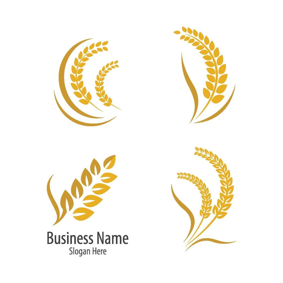 Wheat logo images vector